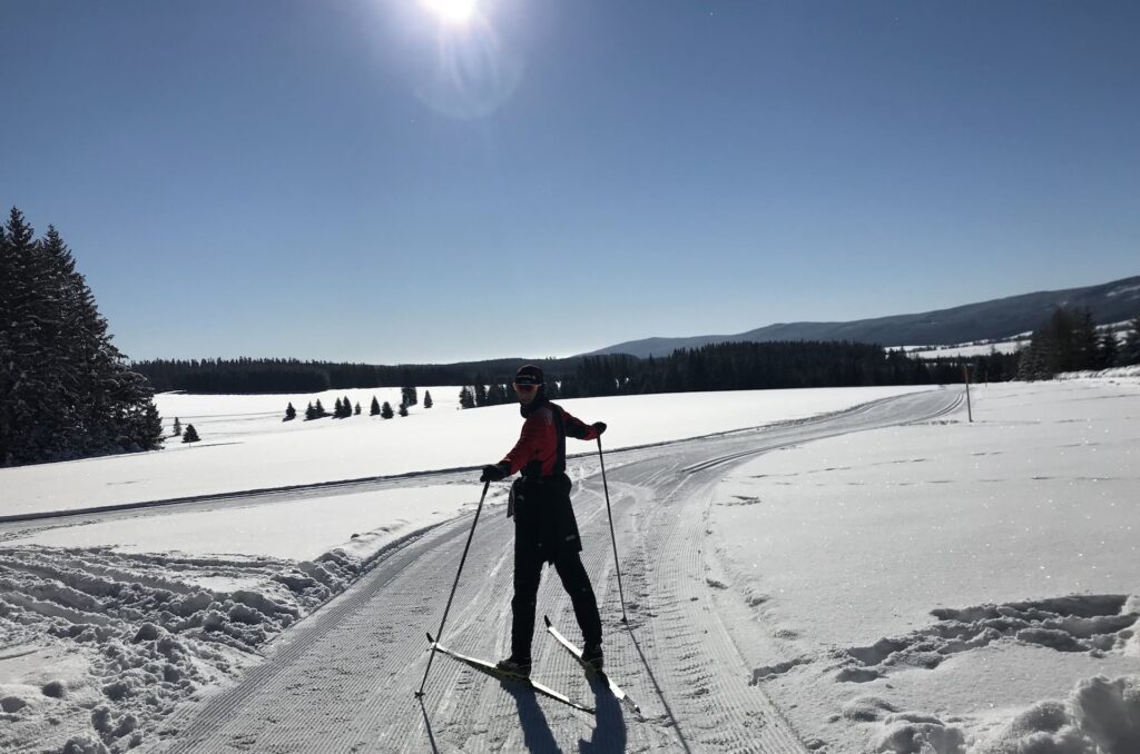biegówki lasowka spalona