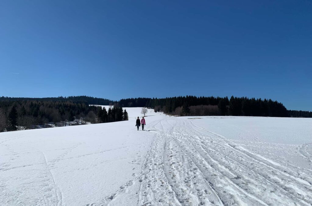 czerniec wycieczka w zimie