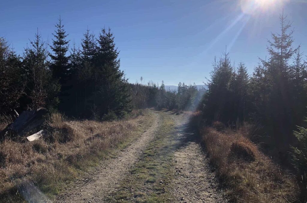 spalona wycieczka jesien