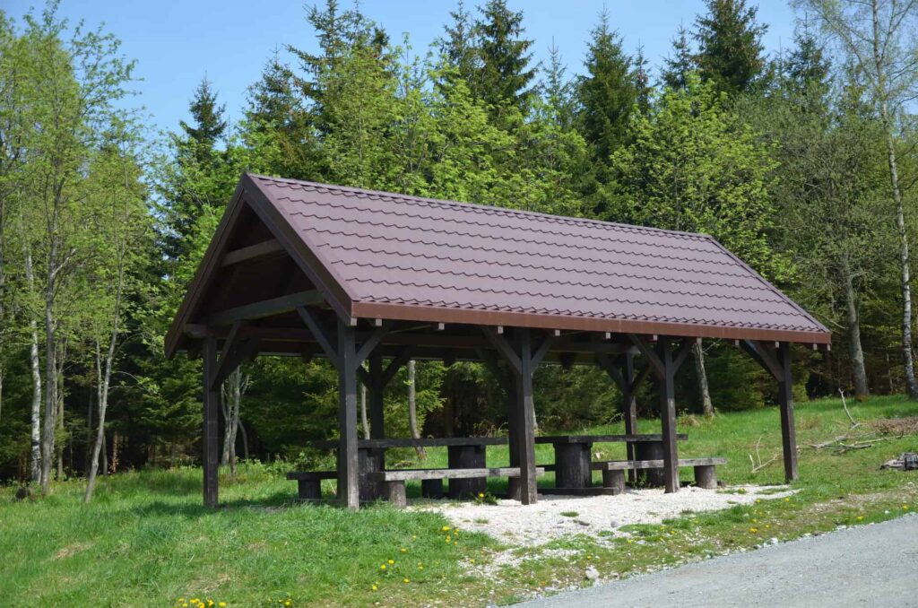 wycieczka rodzinna na jagodna