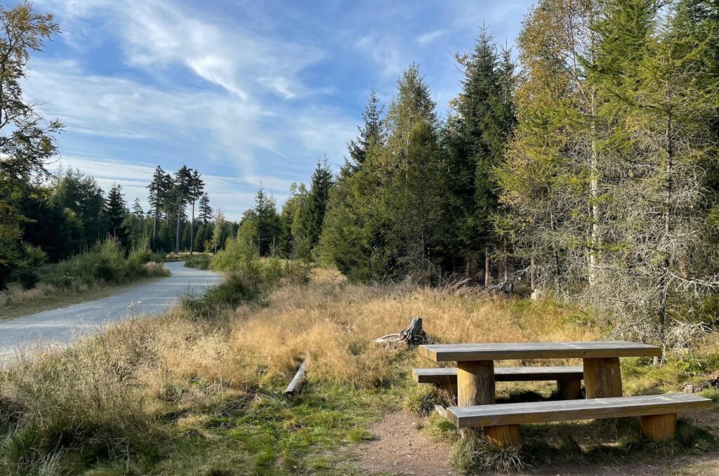 spalona jagodna trasa