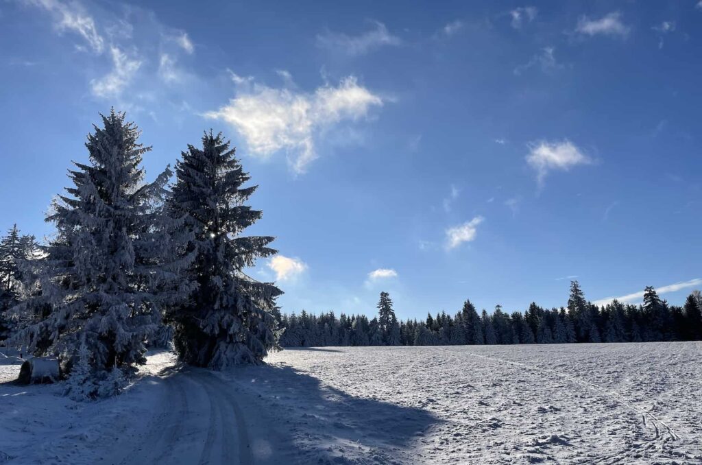 apartamenty spalona sport widok w zimie