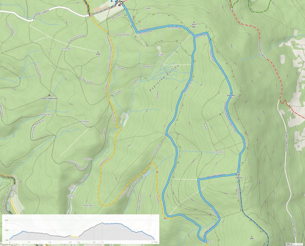 mapa przedstawiająca trasę narciarstwa biegowego mała jagodna