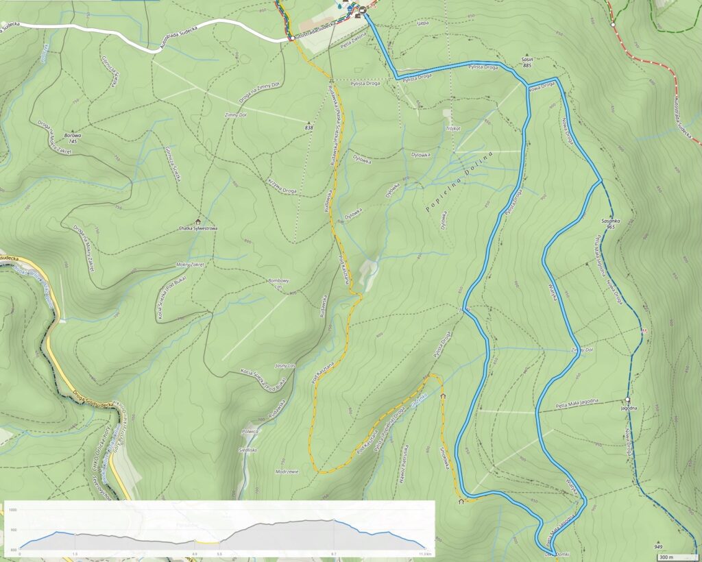 mapa przedstawiająca trasę narciarstwa biegowego mała jagodna pod sasanką