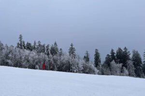 wyciąg narciarski i stok w spalonej
