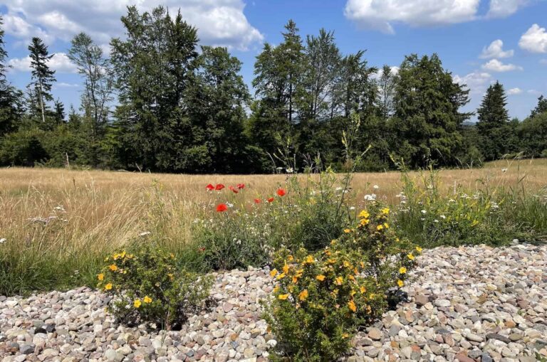 apartamenty w górach idealne na wypoczynek