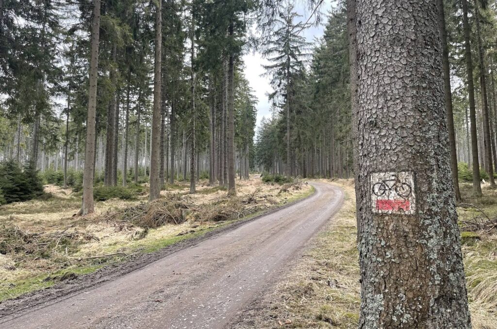 Początek Wieczności