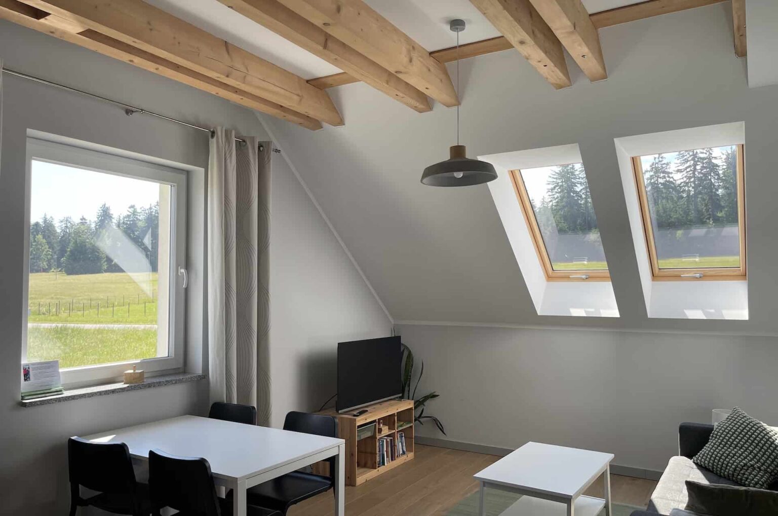 widok na łąki z apartamentu zielonego spalona sport